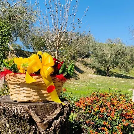Le Tese Country house