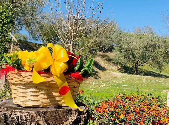 Agriturismo Le Tese בית כפרי
