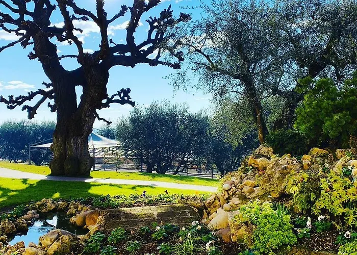 Agriturismo Le Tese קולה